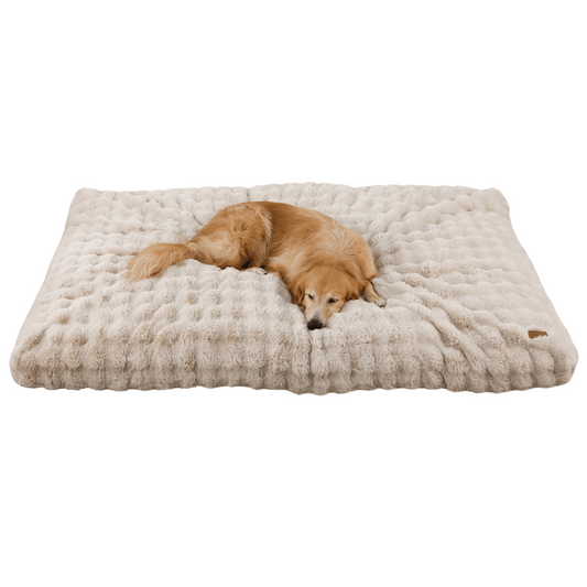 Cloud Comfort Giant & XXL Dog Bed Pillow with Ultra Soft Plush & Washable Cover
