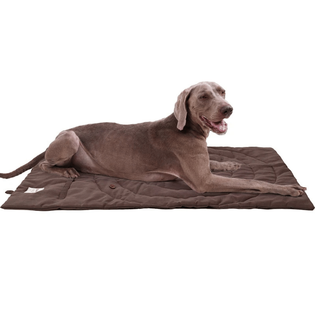 Water-Resistant Portable Dog Travel Mat 8