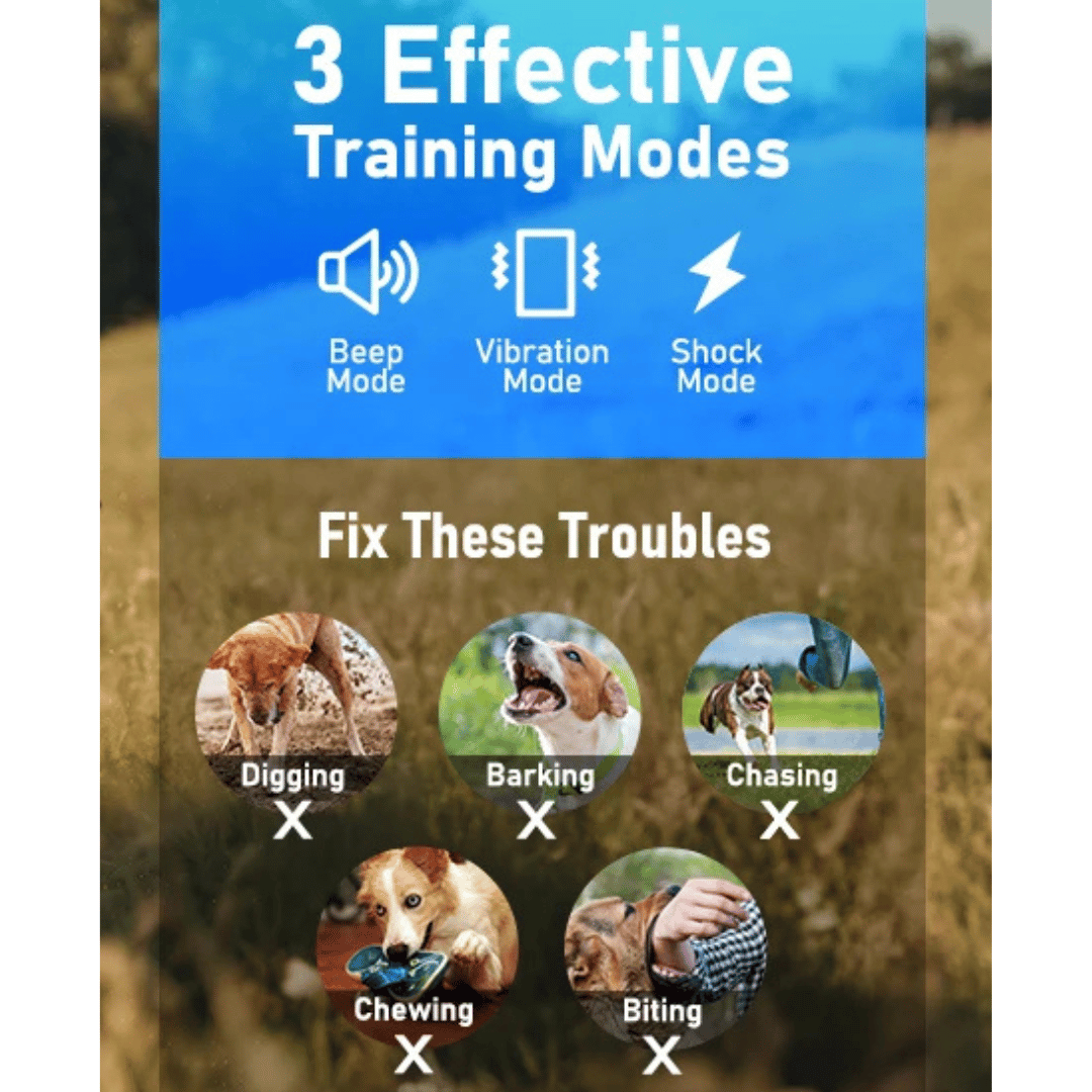 800m Remote Controlled Dog Training Collar | Rechargeable Shock, Vibration & Beep E-Collar