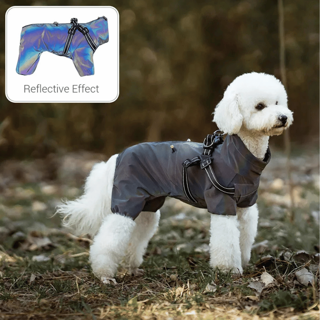 Waterproof Dog Jacket Jumpsuit with Built-In Harness