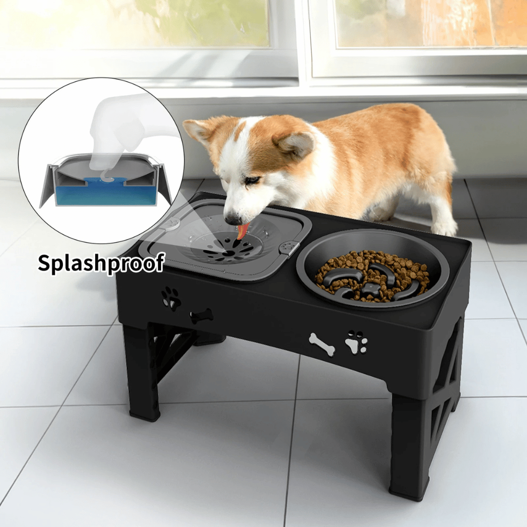 Slow Feeder Bowls Elevated Dog Feeding Station | Stable & Adjustable 5