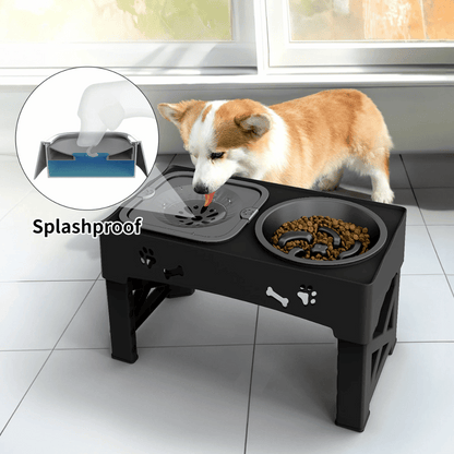 Slow Feeder Bowls Elevated Dog Feeding Station | Stable & Adjustable 5