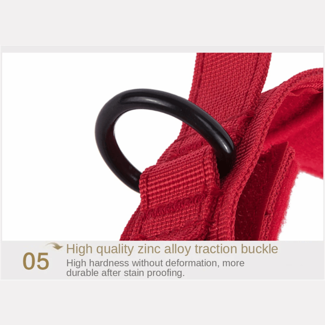 Heavy Duty Military-Style Tactical Dog Collar 18