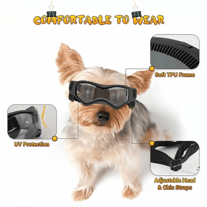 Small Breed Dog Goggles | Protective Dog Sunglasses for Wind & Sun