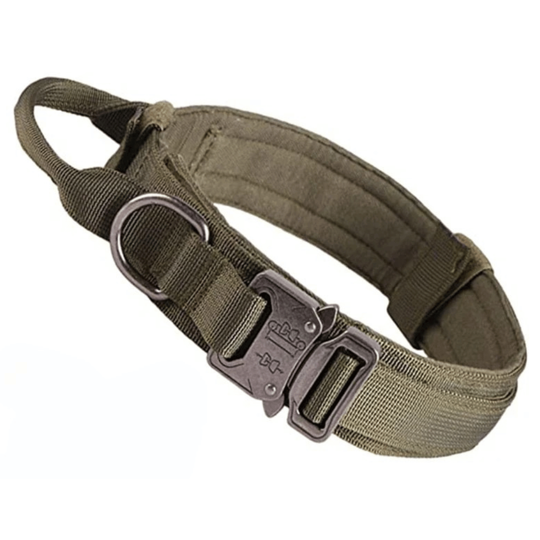 Heavy Duty Military-Style Tactical Dog Collar 1