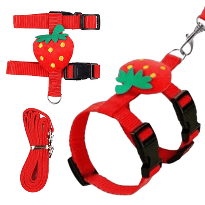 Adjustable Rabbit Harness & Lead Set 3
