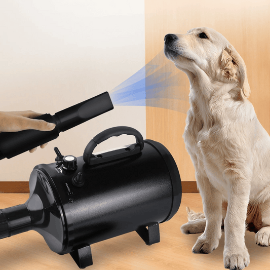Low-Noise Dog Hairdryer with Temperature Control & Changeable Nozzles | Compact & Portable 2800W Blow Dryer for Dog Grooming 1