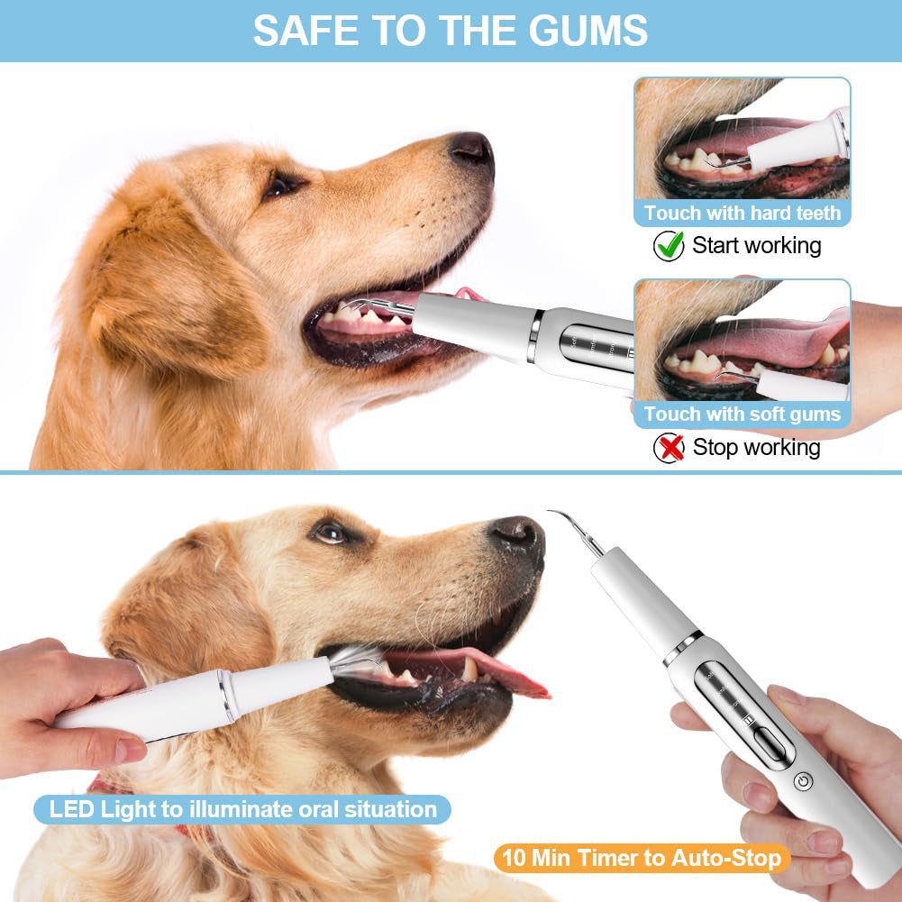 Dog Oral Hygiene Dental Tool Kit | Tartar Control & Teeth Cleaning Set