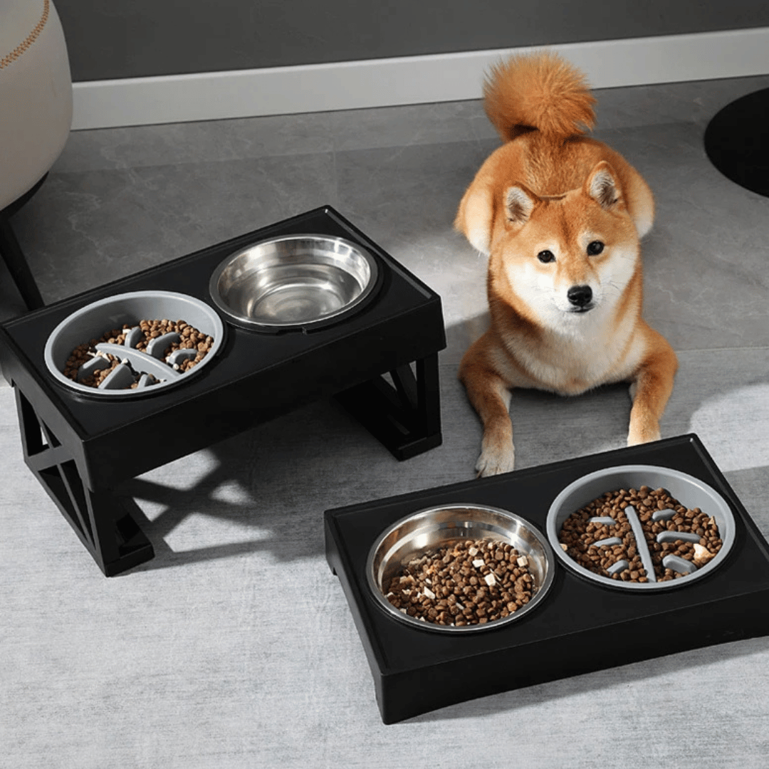 Adjustable Height & Tilt Raised Dog Bowl Stand with Stainless Steel & Slow-Feeding Dog Bowls 2