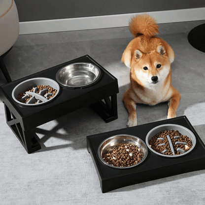 Adjustable Height & Tilt Raised Dog Bowl Stand with Stainless Steel & Slow-Feeding Dog Bowls 2