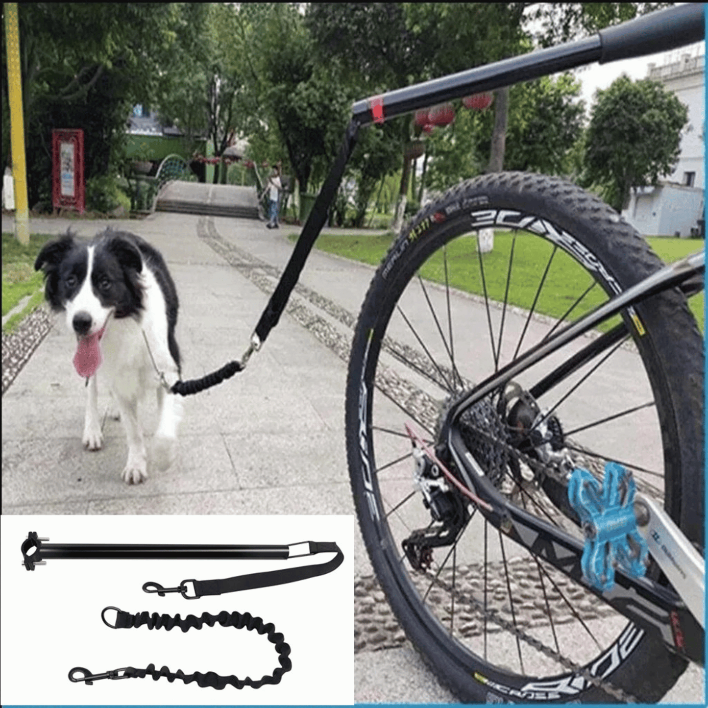 Hands-Free Dog Bike Lead with Metal Attachment Arm & Bungee Shock Absorber | Safe Cycling Lead for Dogs