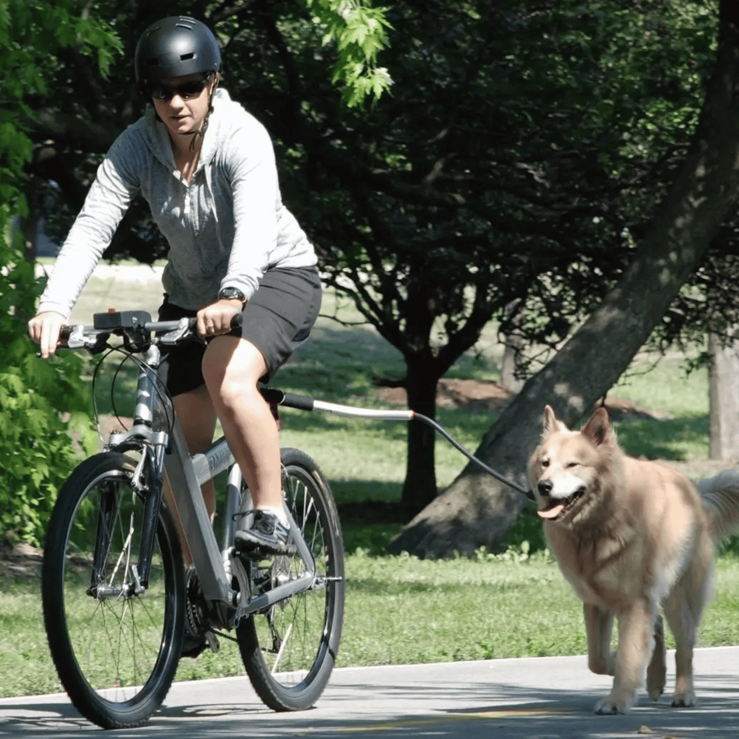 Hands-Free Dog Bike Lead with Metal Attachment Arm & Bungee Shock Absorber | Safe Cycling Lead for Dogs