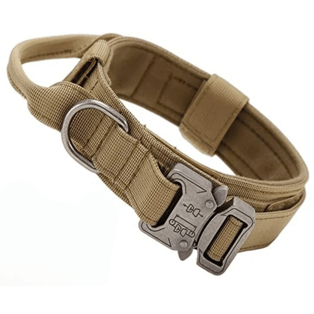 Heavy Duty Military-Style Tactical Dog Collar 30