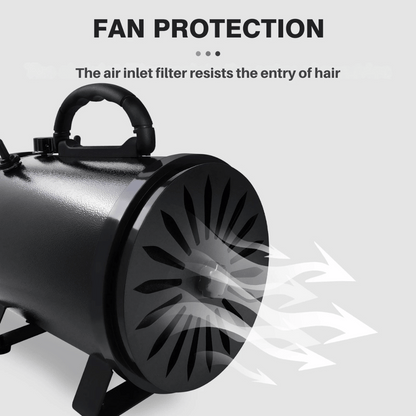 Low-Noise Dog Hairdryer with Temperature Control & Changeable Nozzles | Compact & Portable 2800W Blow Dryer for Dog Grooming 6