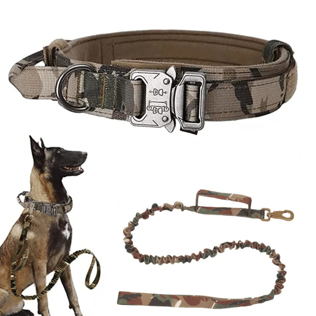 Heavy Duty Military-Style Tactical Dog Collar & Leash for Large & XL Dogs 1