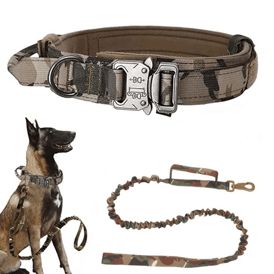 Heavy Duty Military-Style Tactical Dog Collar & Leash for Large & XL Dogs 1