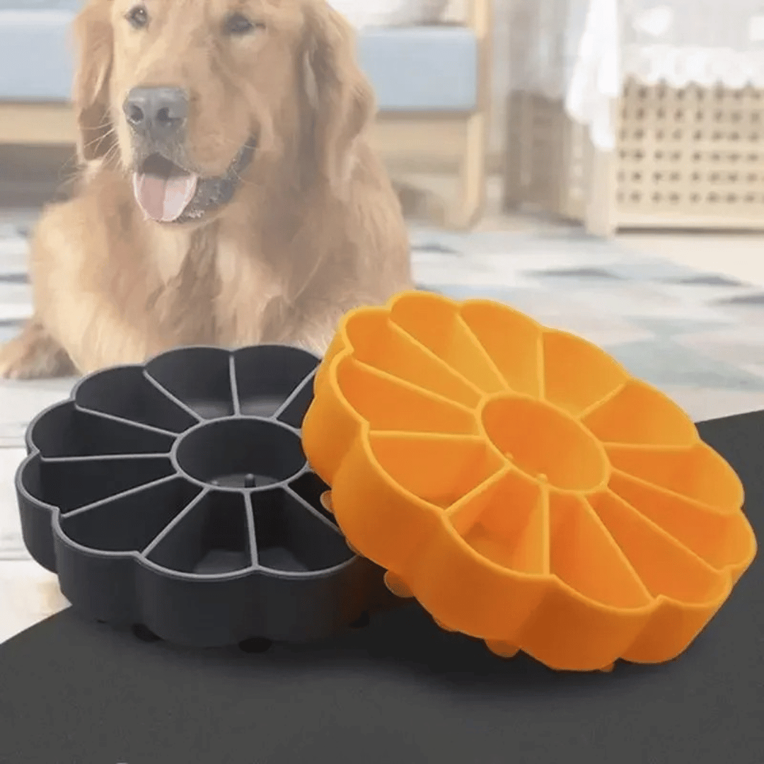 Slow Feeder Dog Bowl for Engaging & Healthy Eating | Dog Lick Bowl with Suction Cup Base 2