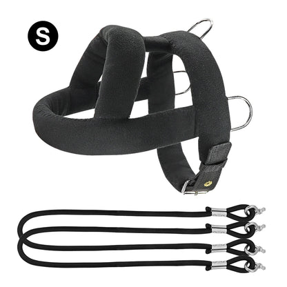 Heavy-Duty Dog Weight Pulling Harness with Padded Comfort for Strength Training 18