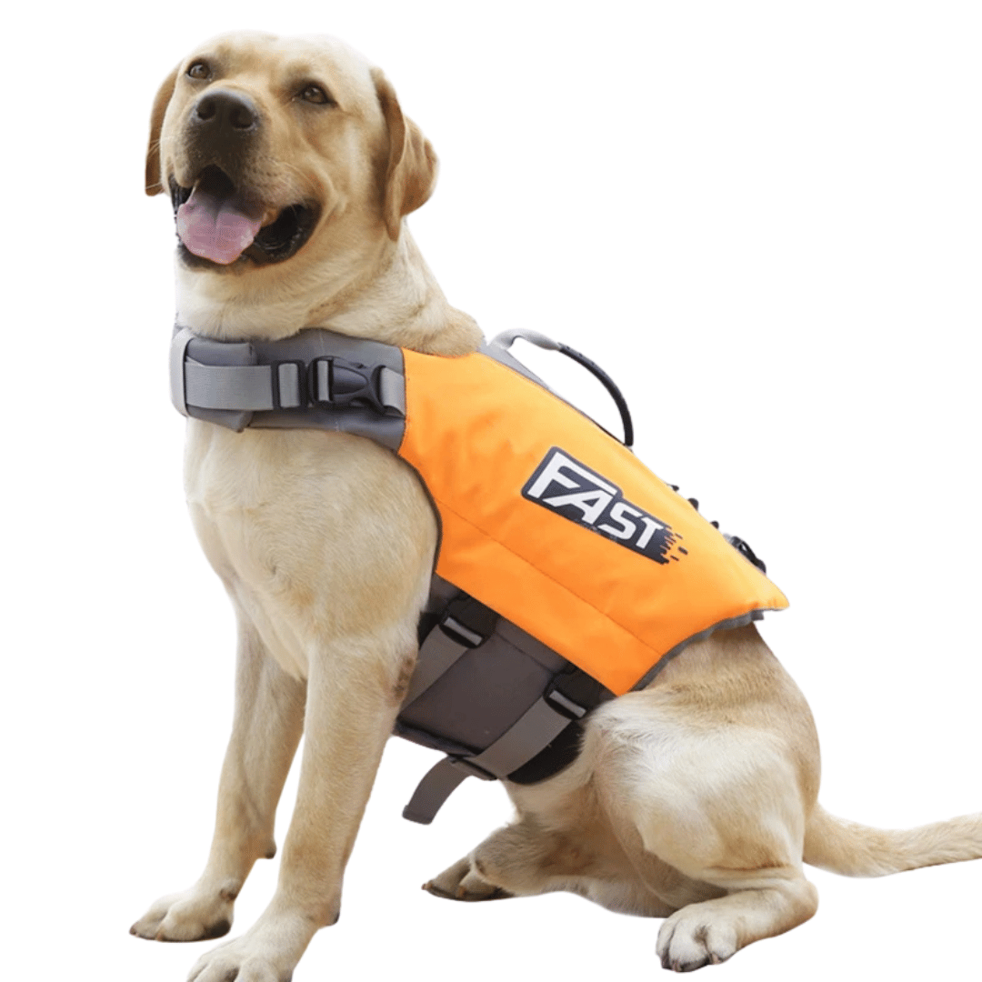 Dog Life Jacket Safety Vest for Swimming | Adjustable & Reflective Dog Swim Vest 2