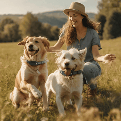 800m Remote Controlled Dog Training Collar | Rechargeable Shock, Vibration & Beep E-Collar