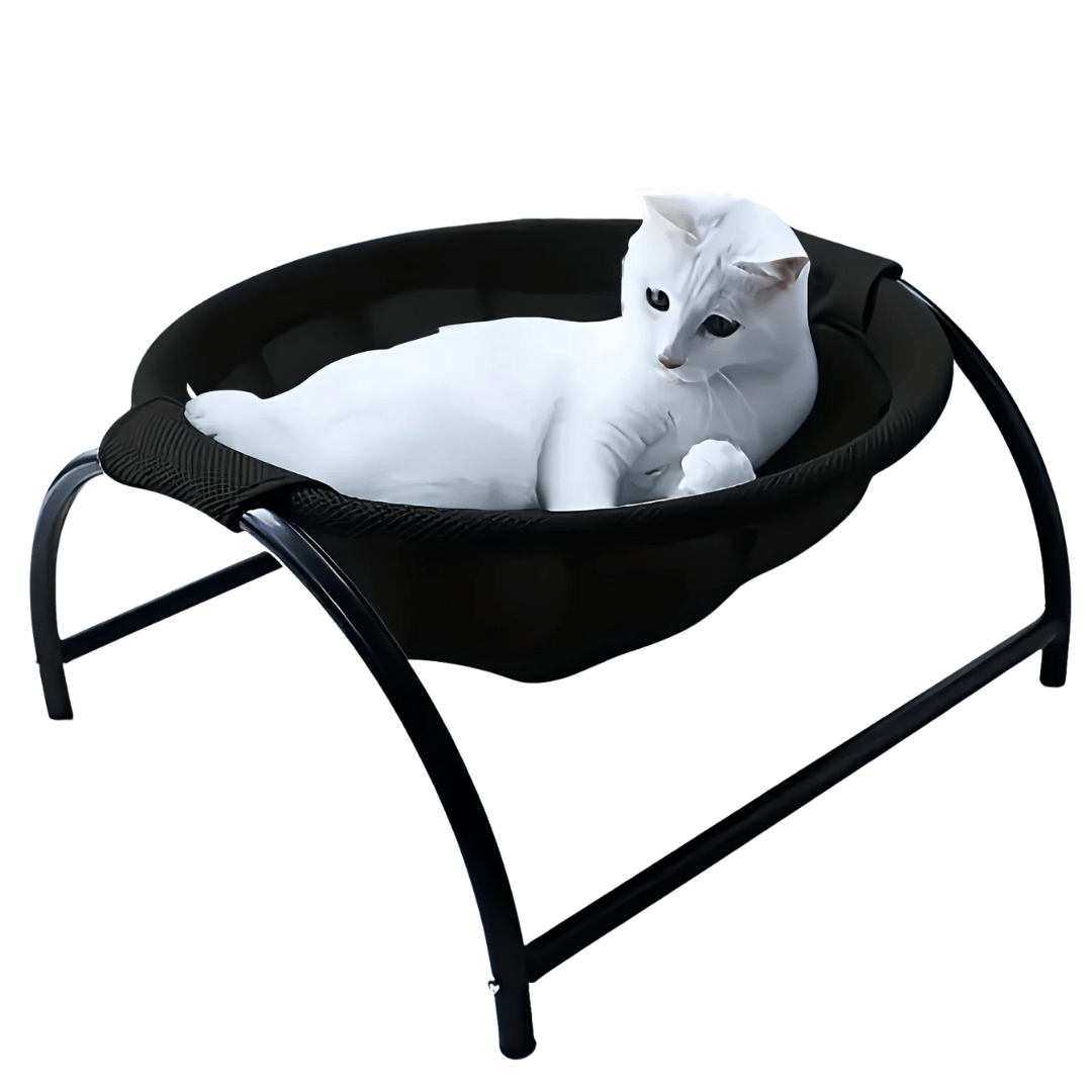 Free-Standing Cat Bed Hammock with Study Frame