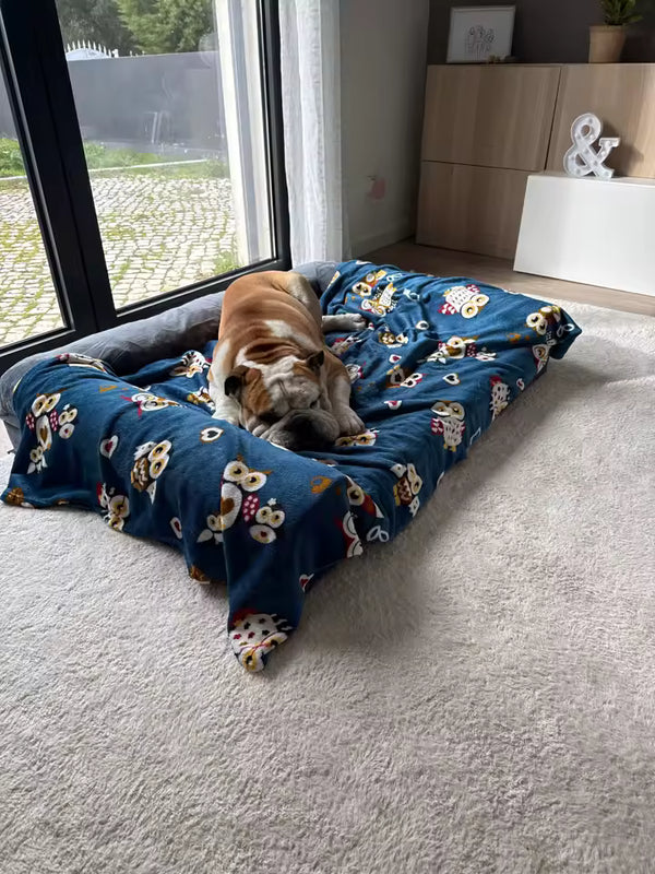 Happy Tailzy customer photo 9