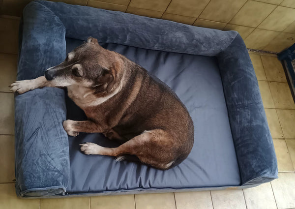 Happy Tailzy customer photo 6