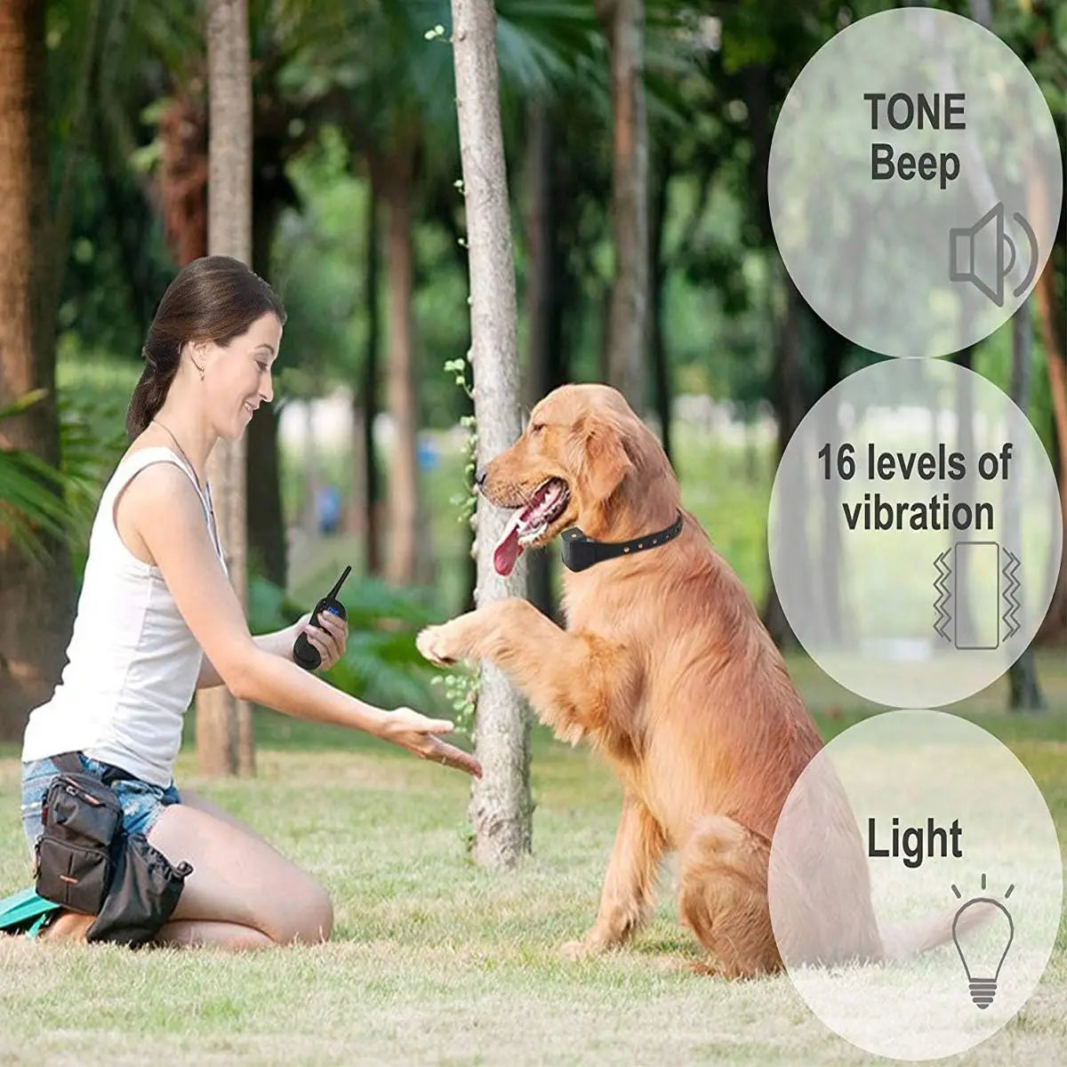 Safe & Humane No Shock Dog Training Collar & Remote 4
