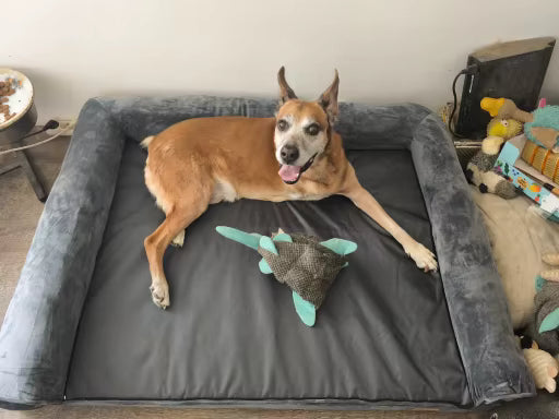 Happy Tailzy customer photo 8