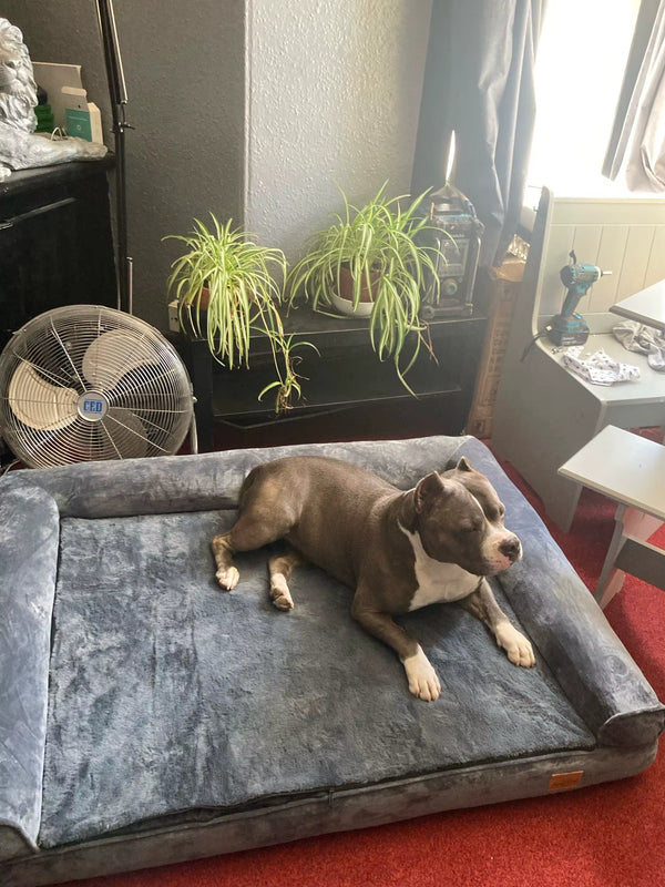 Happy Tailzy customer photo 4
