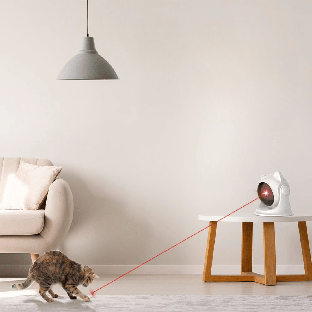 Automatic Laser Cat Toy | USB Rechargeable 4