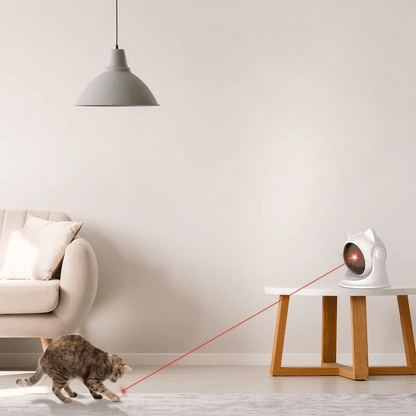 Automatic Laser Cat Toy | USB Rechargeable 4