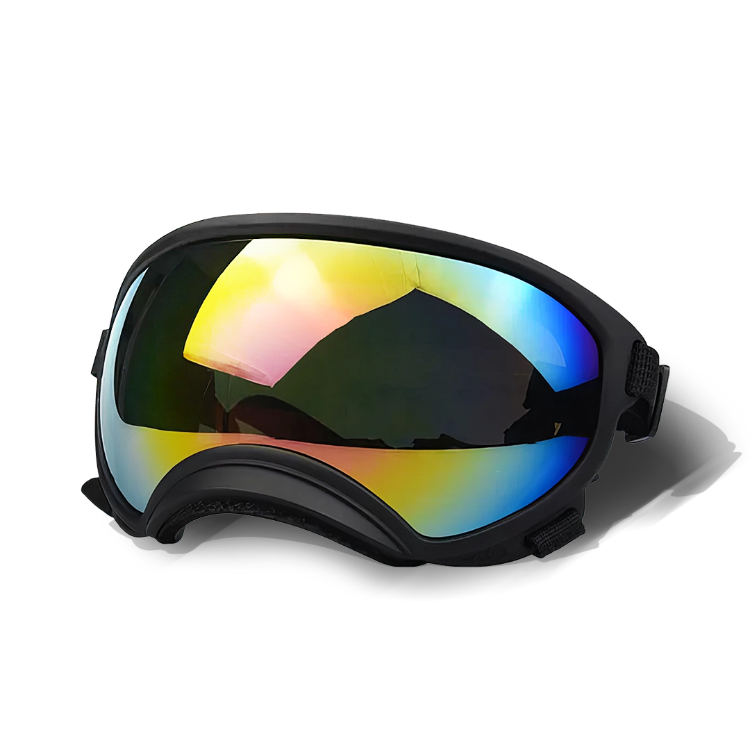 Cool-Dog-Goggles-1