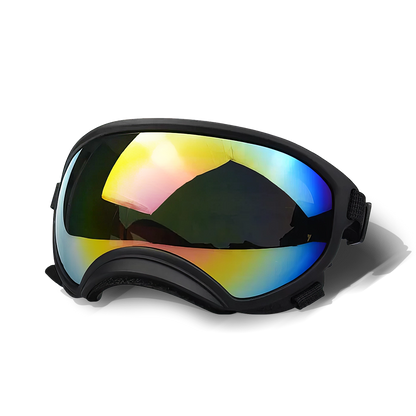 Cool-Dog-Goggles-1