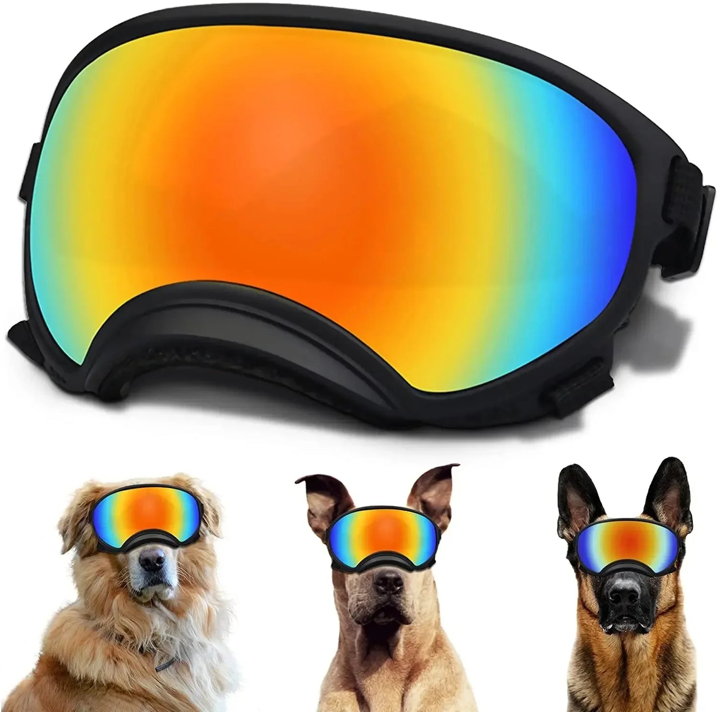 Cool-Dog-Goggles-11