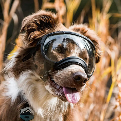 Cool-Dog-Goggles-12