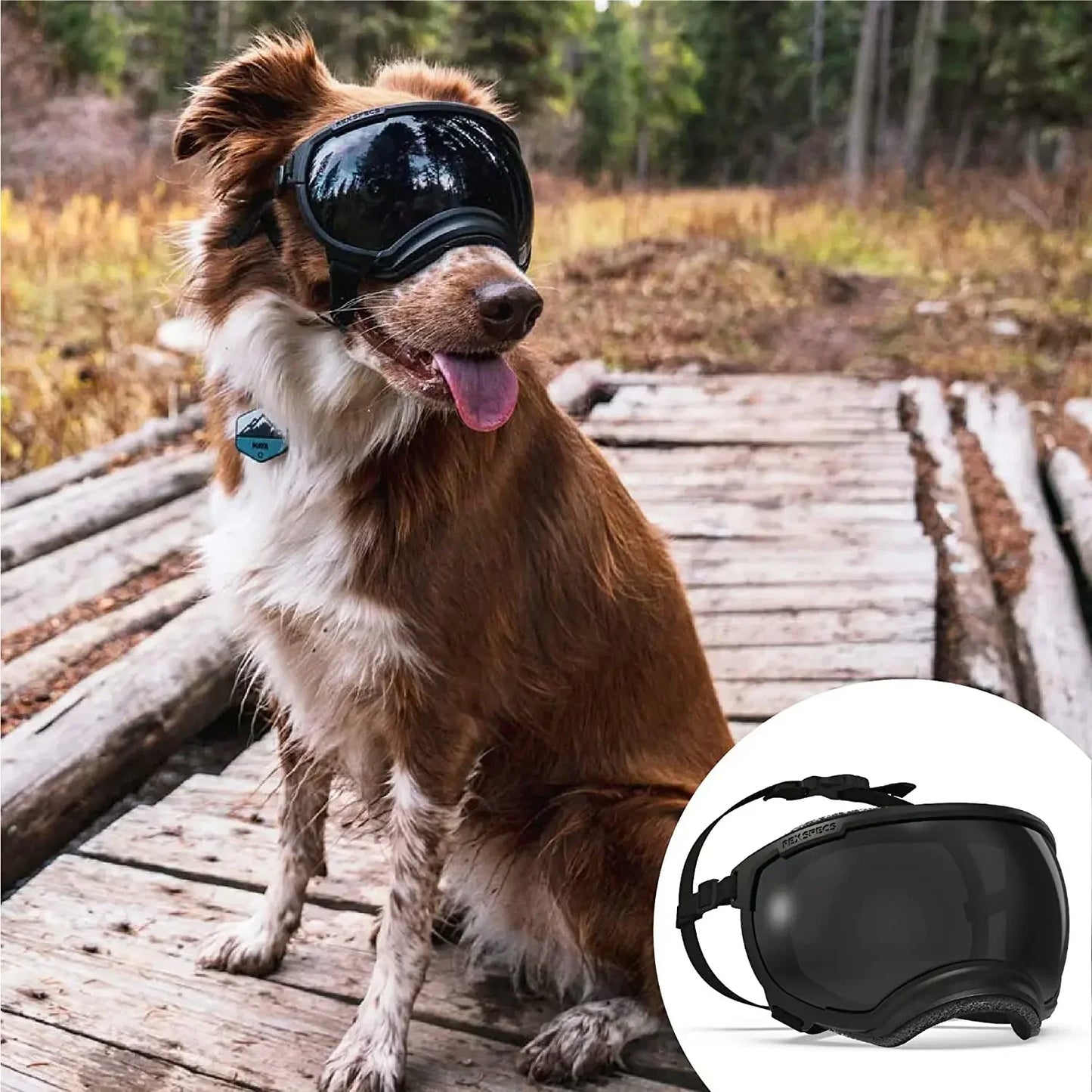Cool-Dog-Goggles-13