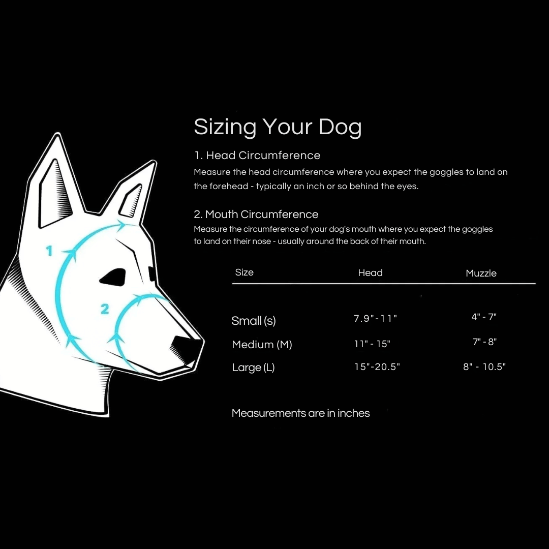 Cool-Dog-Goggles-14