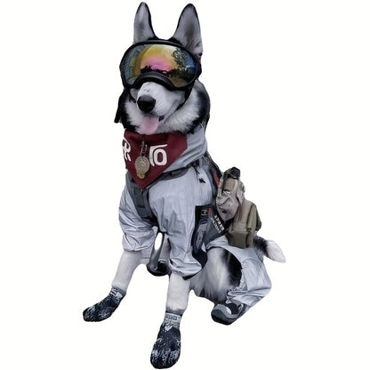 Cool-Dog-Goggles-2
