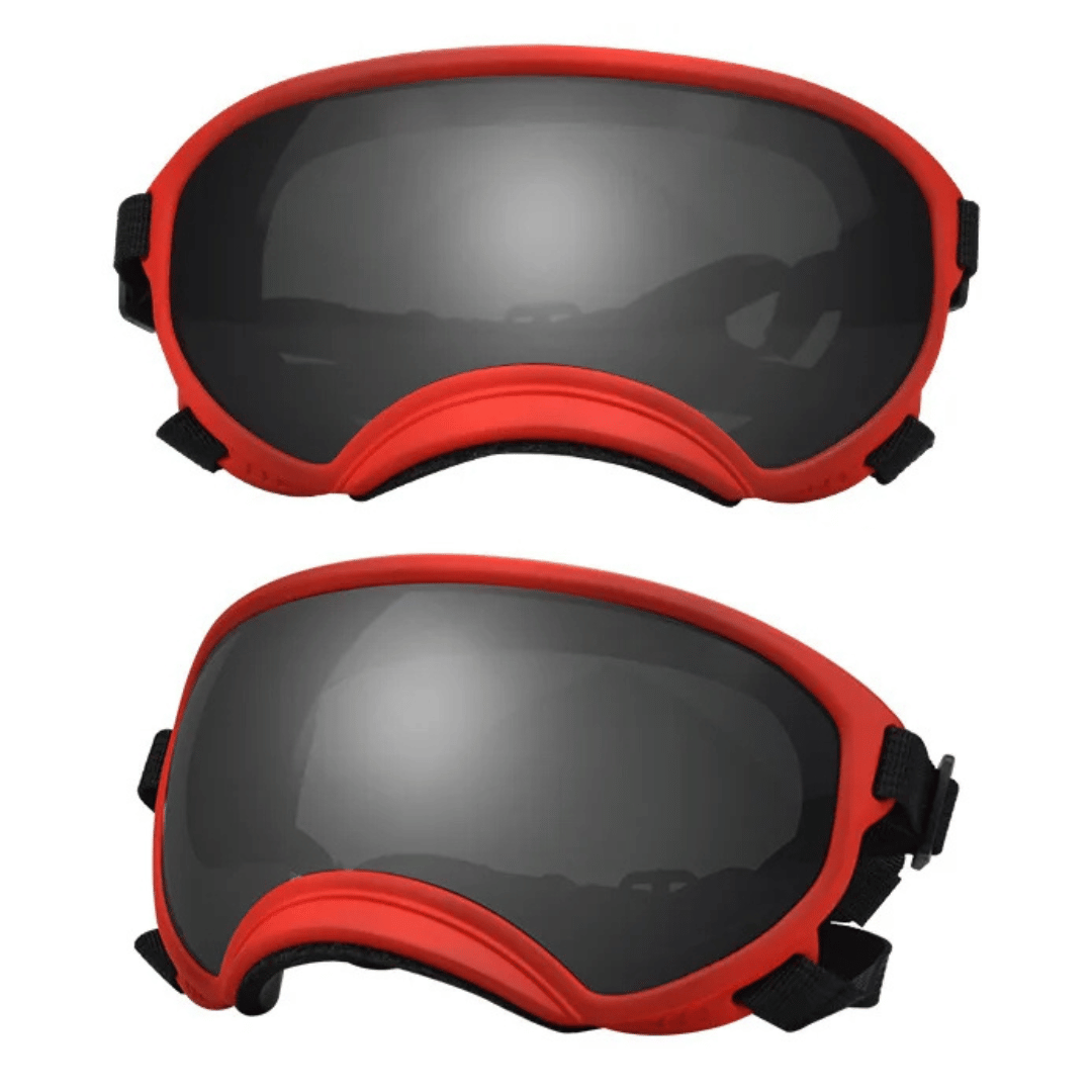 Cool-Dog-Goggles-20