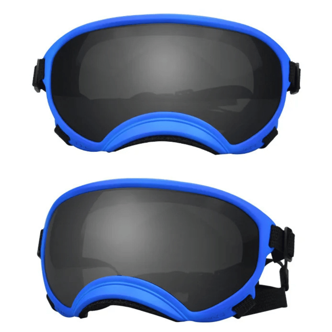 Cool-Dog-Goggles-21