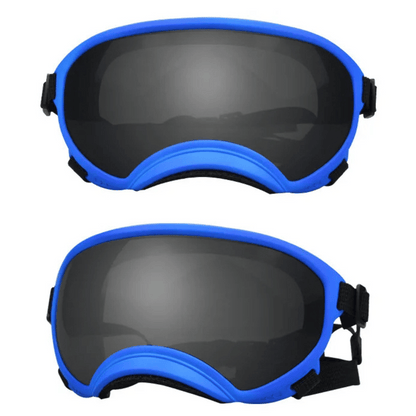 Cool-Dog-Goggles-21