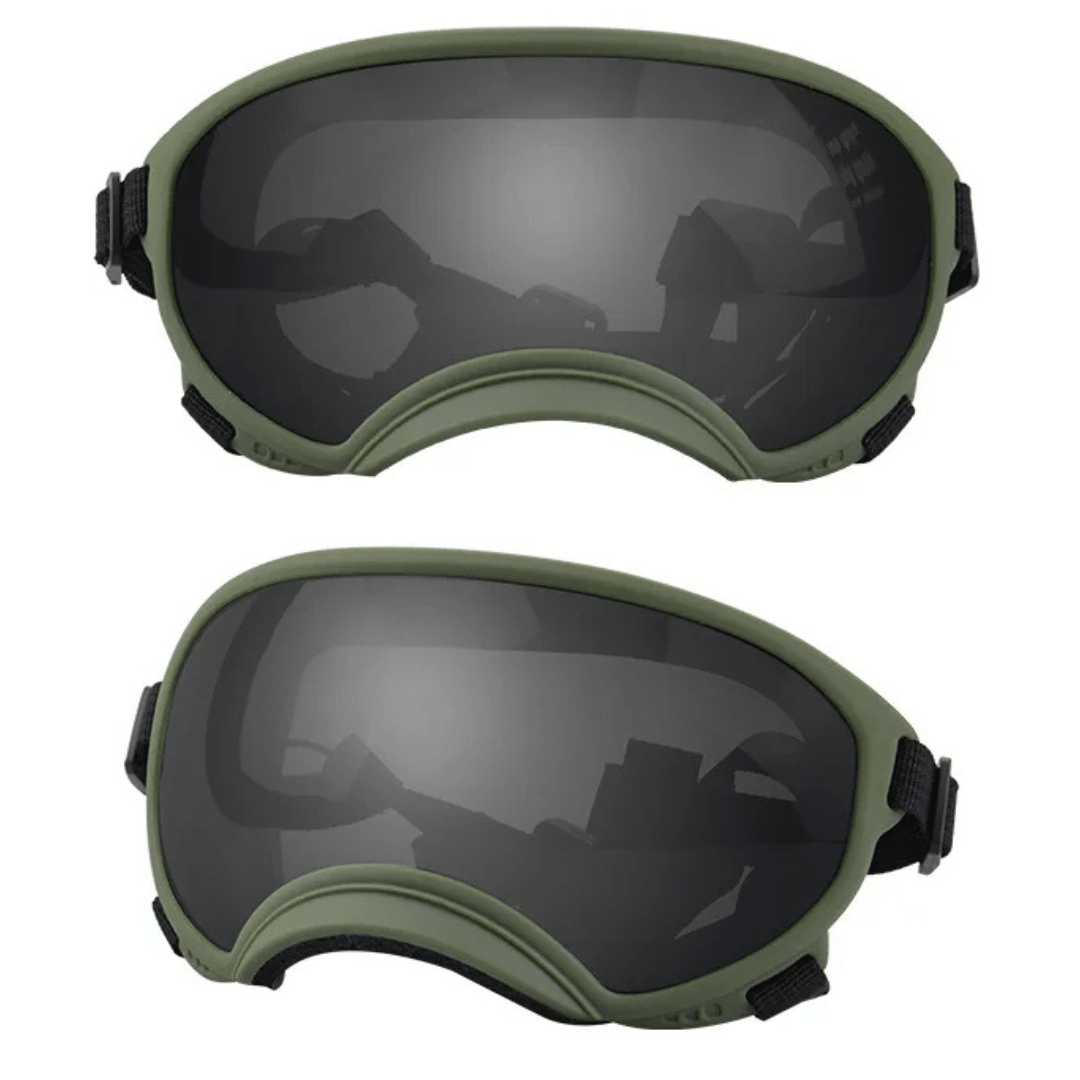 Cool-Dog-Goggles-22