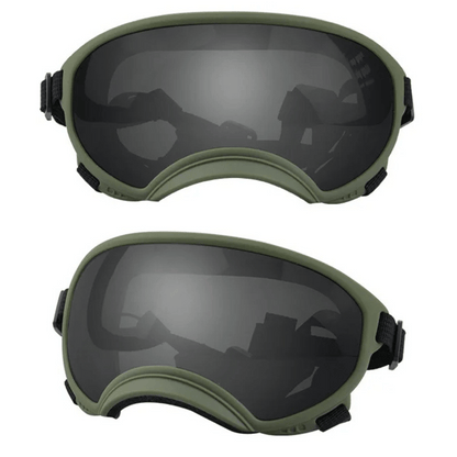 Cool-Dog-Goggles-22