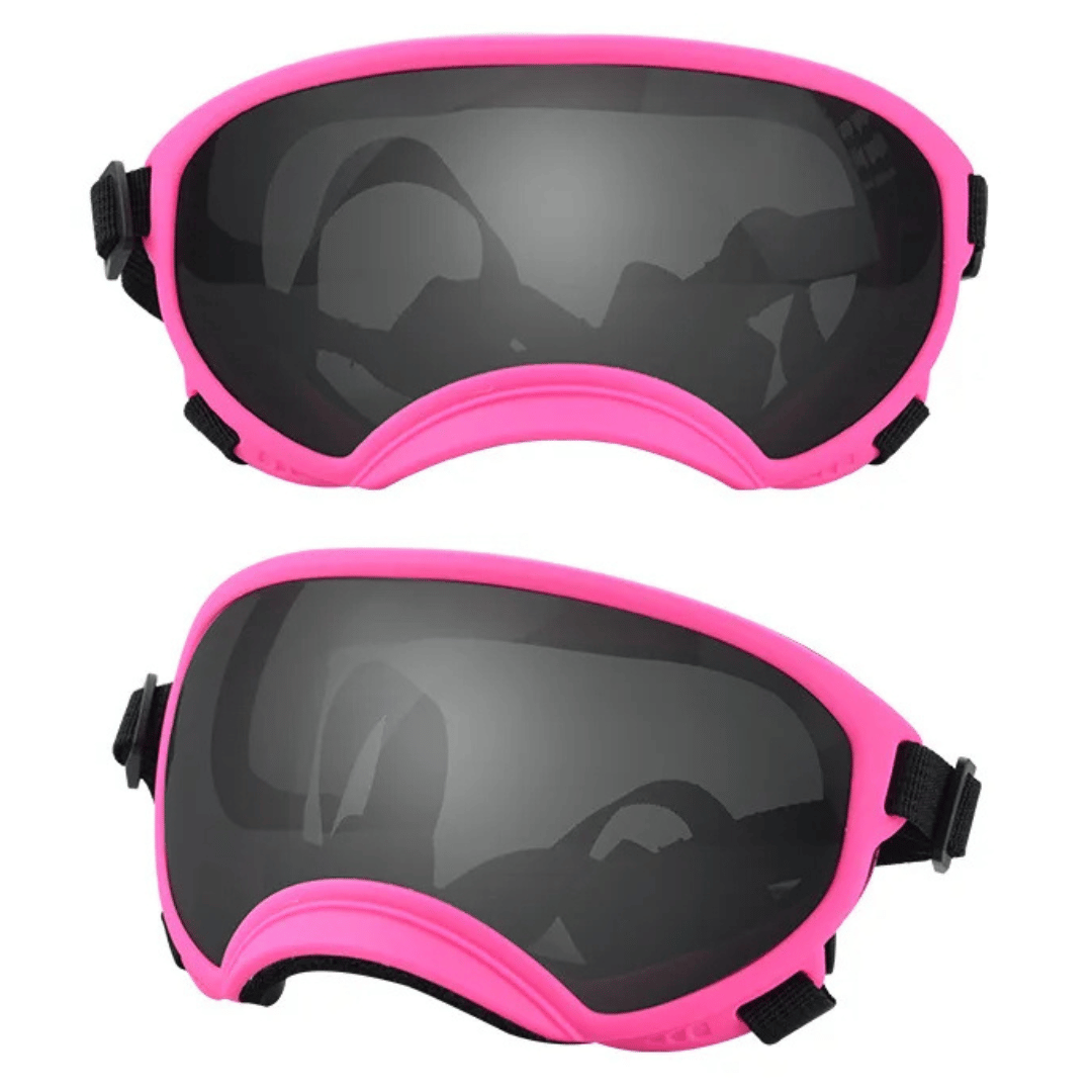 Cool-Dog-Goggles-23