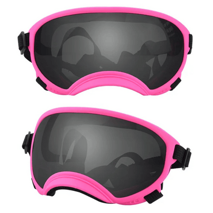 Cool-Dog-Goggles-23