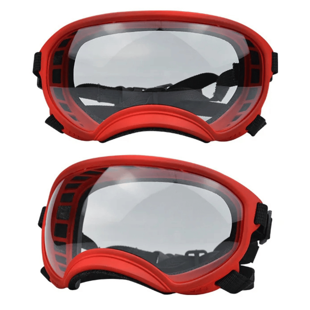 Cool-Dog-Goggles-24