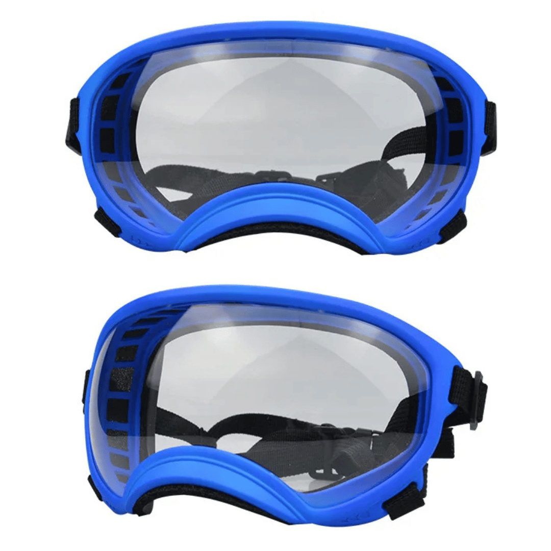 Cool-Dog-Goggles-25