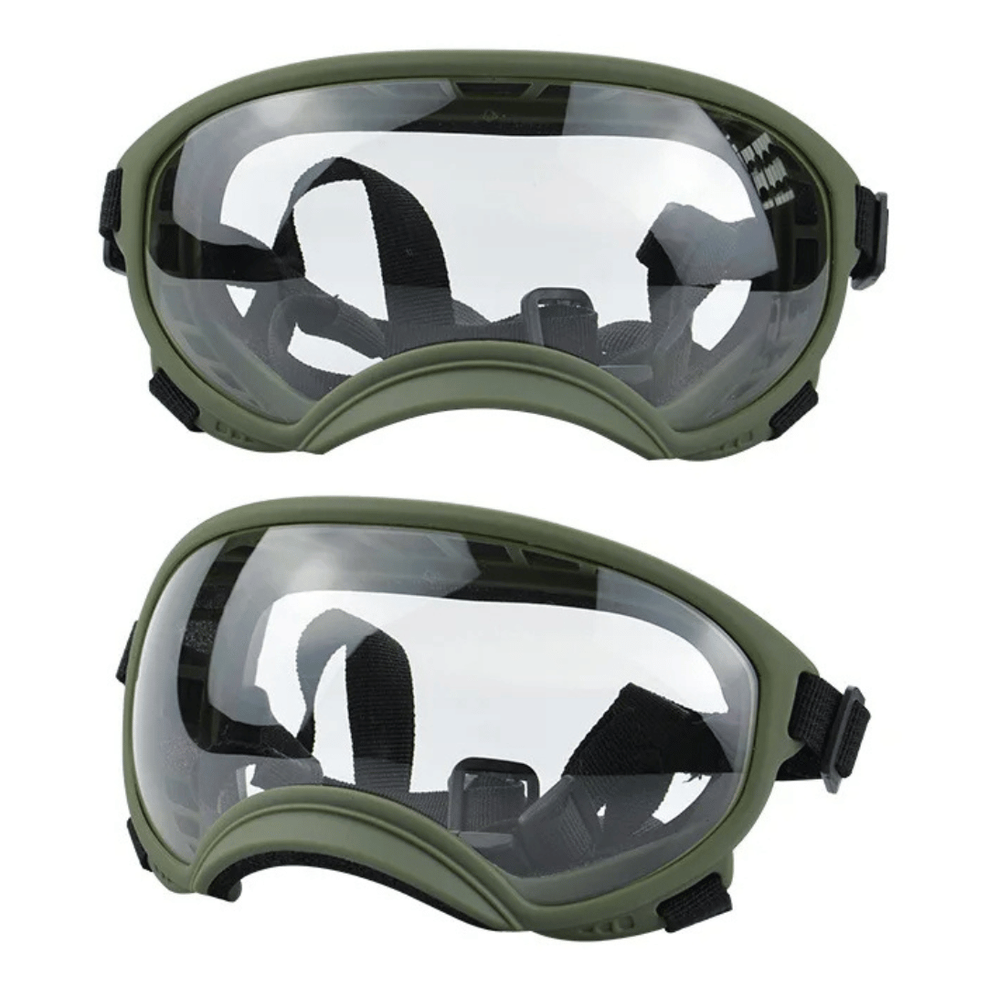 Cool-Dog-Goggles-26