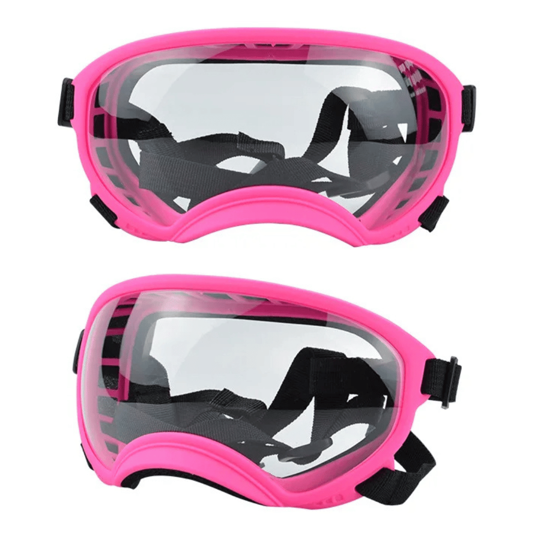 Cool-Dog-Goggles-27